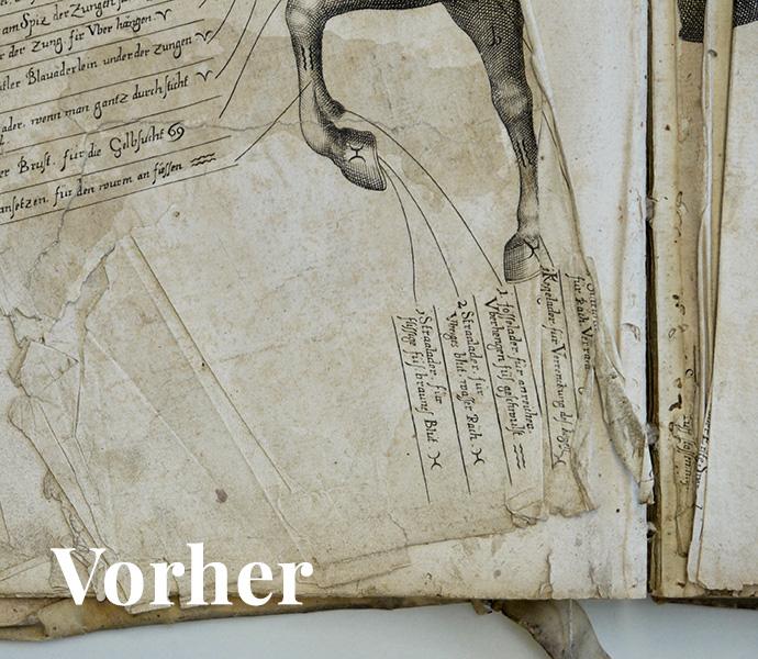 2021-Poetz-vorher2