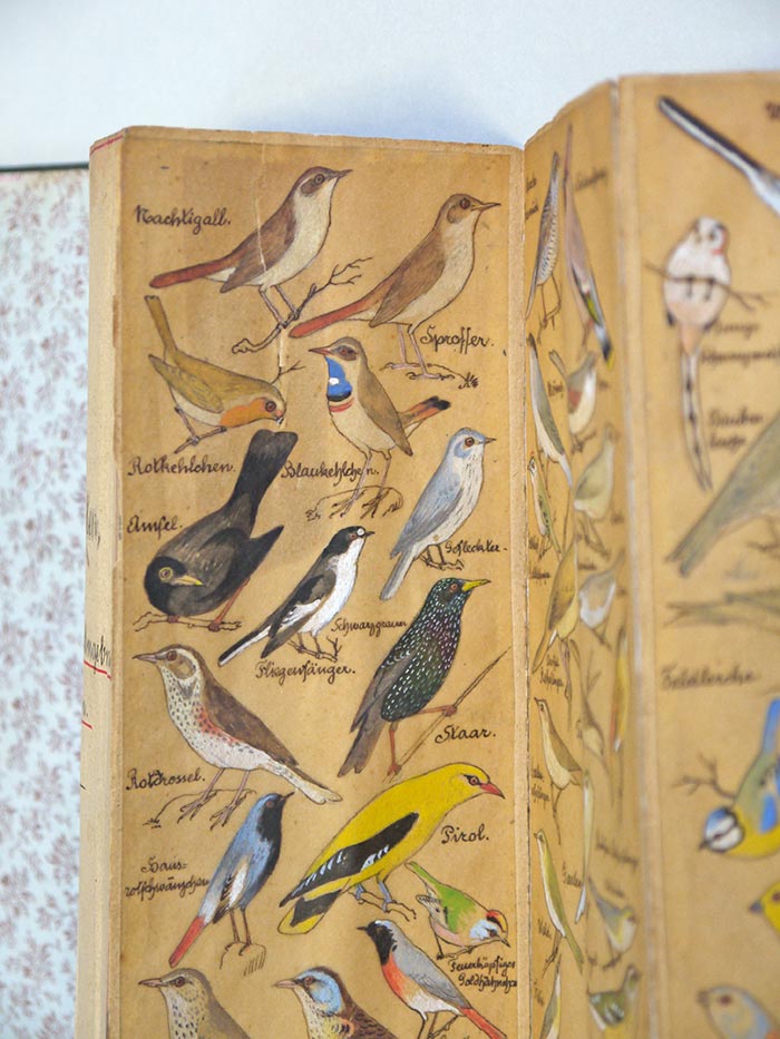 Detail Leporello nach der Restaurierung